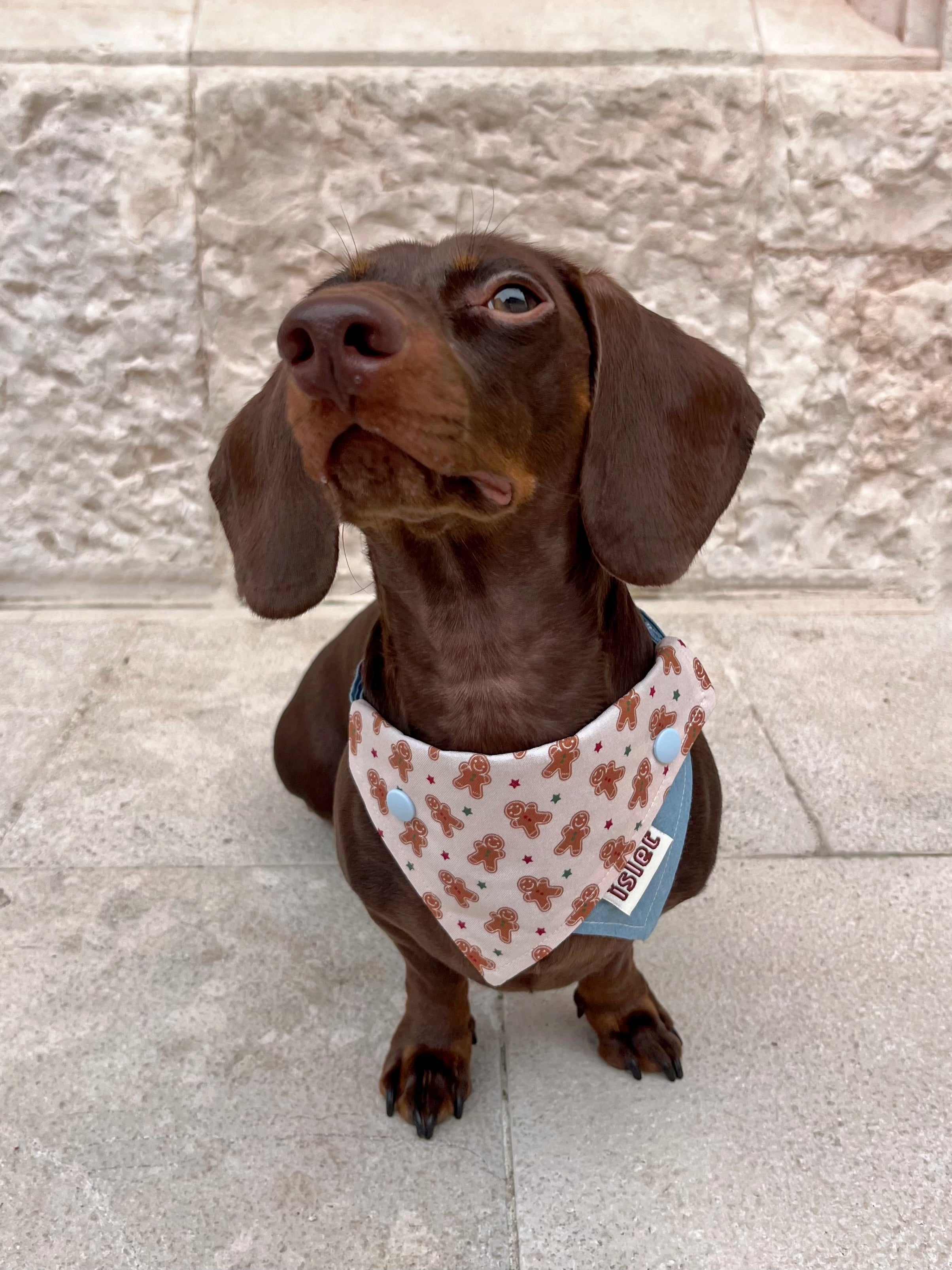 denim bandana with gingerbread man pattern